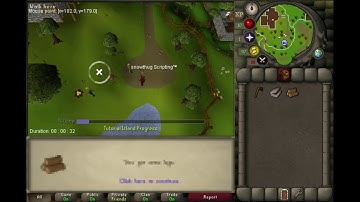 OSRS Tutorials Island Bot