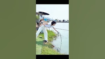 Con này có phải cá rô đồng không mọi người?#fishing #youtubeshorts