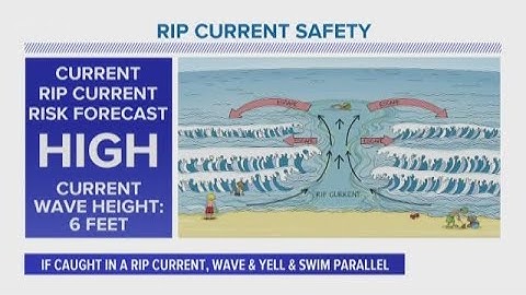 Beach Flag Warning System