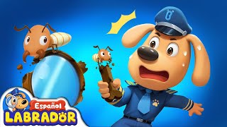 Sheriff Labrador  Cuidado con las Termitas | Videos para Niños | BabyBus en Español