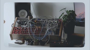 stellar // Eurorack Modular Ambient Drone: Endless Processor, Beads, Plaits, Surface, Marbles