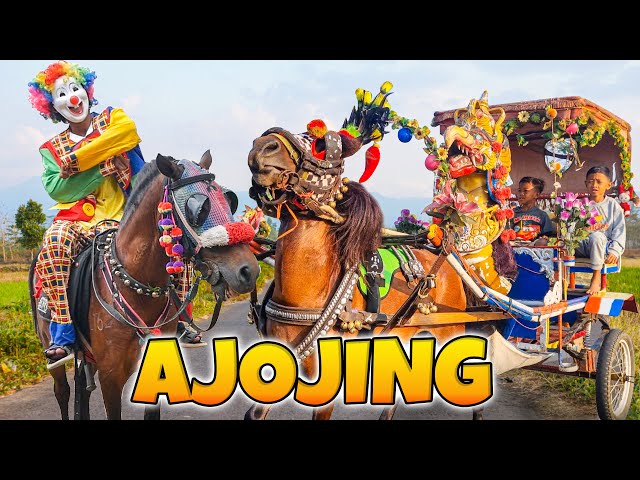 KUDA | KUDA DELMAN - NAIK KUDA KAJEN - KUDA JINGKRAK JUMPING | AJOJING ALA ALA AJOJING class=