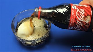 Egg vs Coke - Science Experiment