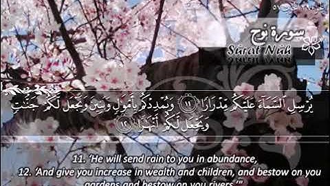 سورة نوح ماهر المعيقلي مترجم