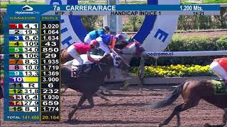 Vidéo de la course PMU PRIX YERSIN