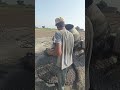 The Beauty of Concrete Slab Pouring#ConcreteArt #SlabCasting #ConstructionShorts #Shorts