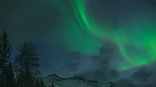 Perry Como catch a falling star