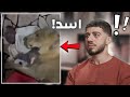 بسبب مقلب على عمال انسجن 3 سنوات بسبب مقلب على عمال انسجن 3 سنوات