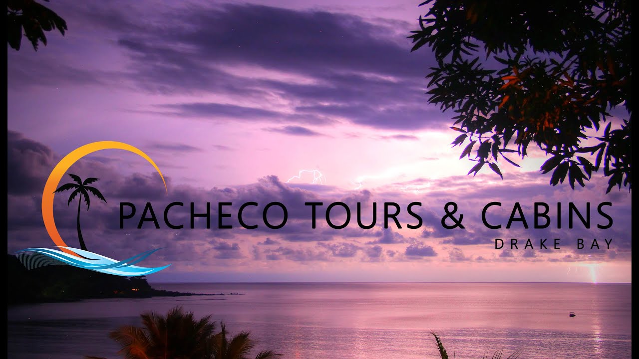 pacheco tours reviews