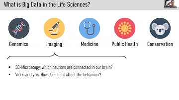 20210329 Masters in Bioinformatics and Computational Biology Presentation