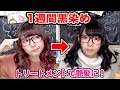 【簡単】傷まない！？自宅で緊急1週間で落ちる黒染めのやり方！【カラーバター】
