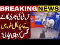 Cow Storms Medical Store, Leaves Destruction Behind | Breaking News