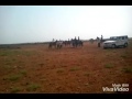 Horse Race Faradi Kutch Horse Race Faradi Kutch