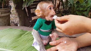 Poor Orphan Baby Koko Eating White Rice | Mom Feeding Rice For Poorest Baby Koko