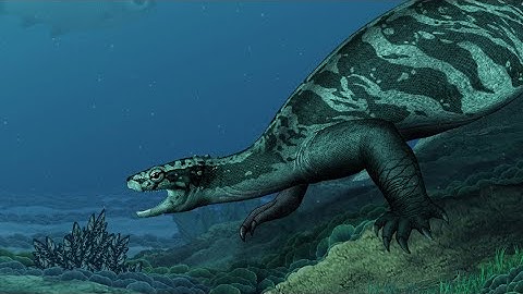 Heroes in a Half-Shell: The Early Evolution of Turtles