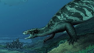 Heroes in a Half-Shell: The Early Evolution of Turtles by Dr. Polaris 16,398 views 1 year ago 12 minutes, 39 seconds