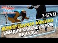 Жумуртканын айынан кимдин кайсы жери канады?