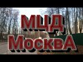 Тестирую на себе Московские диаметры 23.11.2019 МЦД 1 ИВОЛГА Аэроэкспресс Двухэтажная электричка