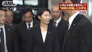 小渕前大臣「絶対に辞めない」  与党から厳しい声！！！
