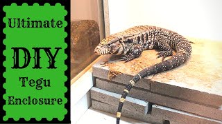 Ultimate DIY Tegu Enclosure