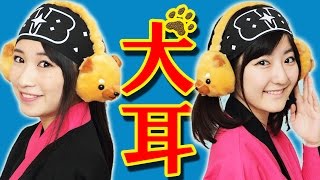 【クレーンゲーム】あったかイヌ耳！豆柴イヤーマフで、寒い冬もへっちゃら。