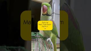 Main Tota Poem By Golu With Music