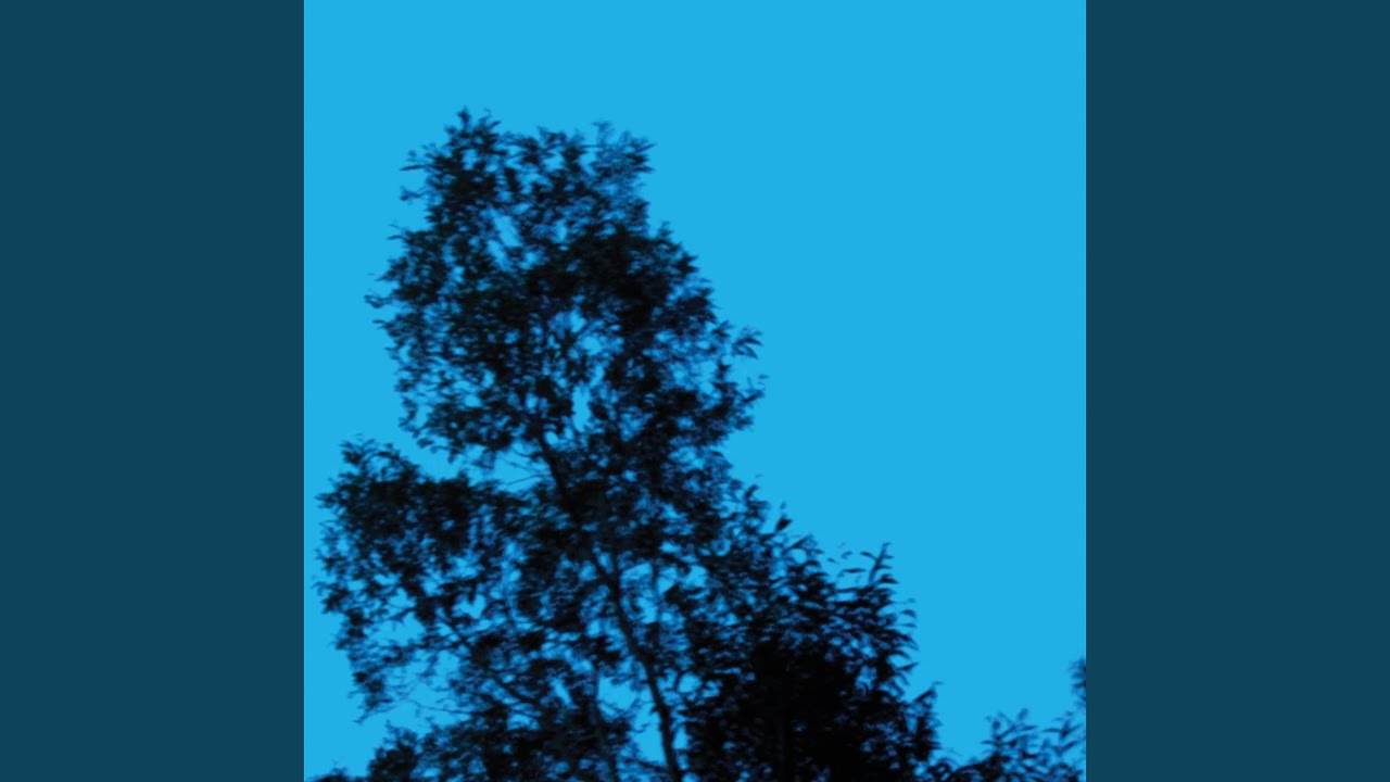 Trees adlı videoyu YouTube'da izle Trees adlı videoyu YouTube'da izle