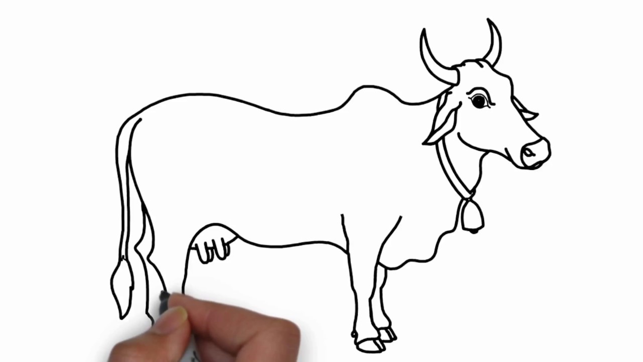 How to Draw a Simple Highland Cow Worksheet - Art Resource