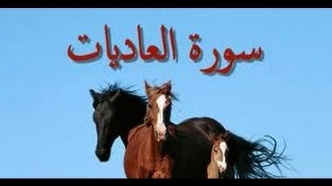 سورة العاديات -الشيخ عبدالكريم الدغوش