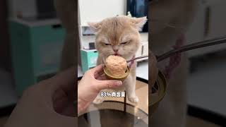 Finally, Dotels Lost Its Price. It Only Costs 32 Pieces To Only 39.9 Yuan. They Are All The Food T