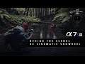 BTS // Alpha 7S III // Cinematic Show Reel in 4K shot by Benn TK - Behind The Scenes