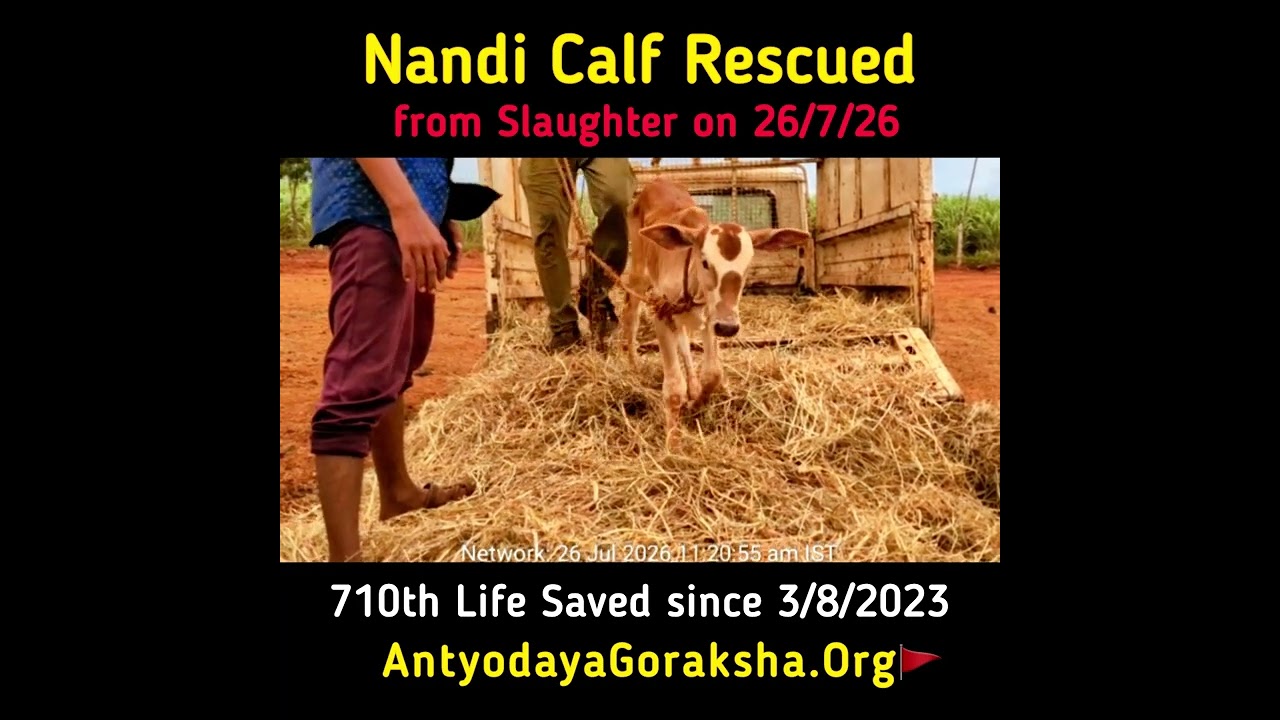 [26 July 2026] 710th Life Rescued 🎉