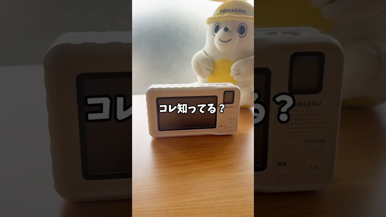 防災用 ラジオ付きポータブルテレビ｜防災用品 シリーズ「SONAERU