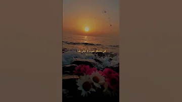 امس مضى و اليوم ذا سيرحل محمودالموالي 