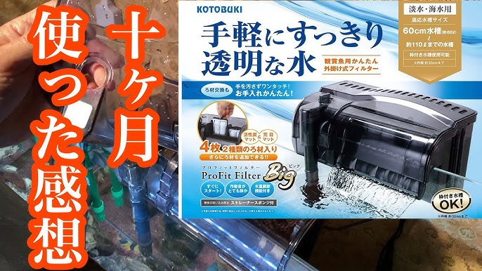 コトブキbigフィルター 外掛けフィルター アクアリウム Youtube コトブキbigフィルター 外掛けフィルター アクアリウム Youtube