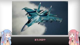 【琴葉姉妹】見た目が9割の戦闘機解説【Flankers】