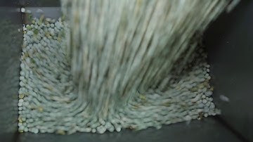colour sorting of  green pea on SmartSort optical sorter