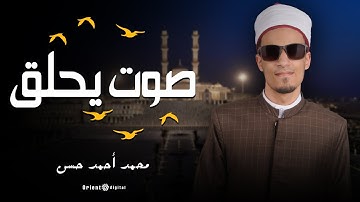 آيات تهدي القلوب بصوت محمد أحمد حسن