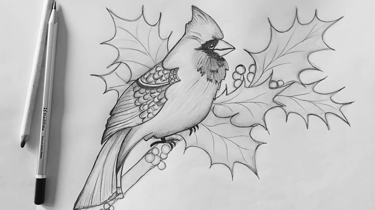 How To Draw Cardinal Bird Easy Bulbul Bird Drawing Cardinal Bird how-to-draw-cardinal-bird-easy-bulbul-bird-drawing-cardinal-bird