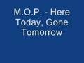 M O P Here Today Gone Tomorrow
