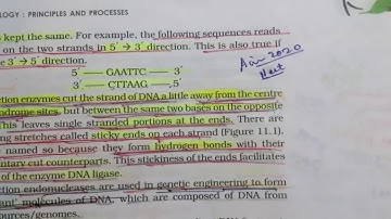 2nd Doubt in NTA answers key of Neet 2020 ,RESTRICTIONS ENZYMES EXPLANATION | Physics in Playground