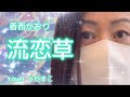 #香西かおり【#流恋草】coverうたまこ🥰