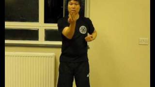 Leo Chinese Kung Fu - By Sifu Leo Au Yeung : Siu Lim Tao Part 2 (小念頭 - 第二部)