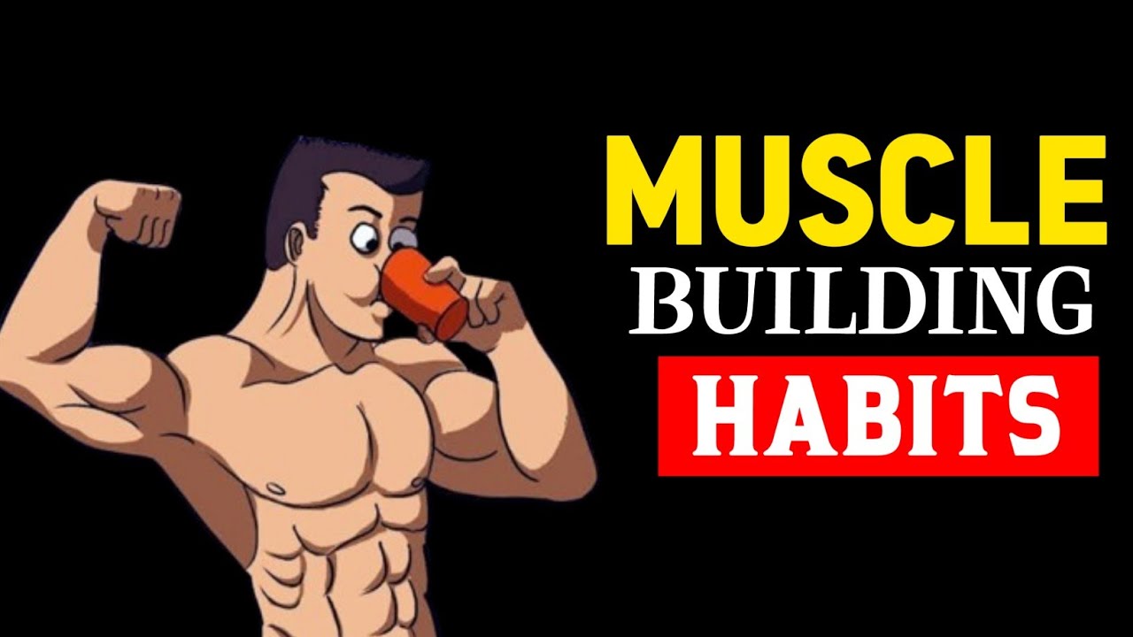 5 Proven Ways To Build Muscle Faster ( Stay Fit 📈 ) - YouTube