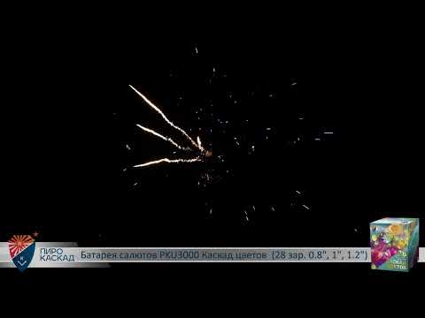 Видео: Батарея салютов Каскад цветов (28/0,8; 1; 1,2) PKU3000