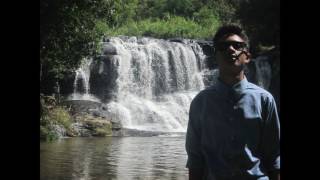 Early Summer - Gambaran Hati