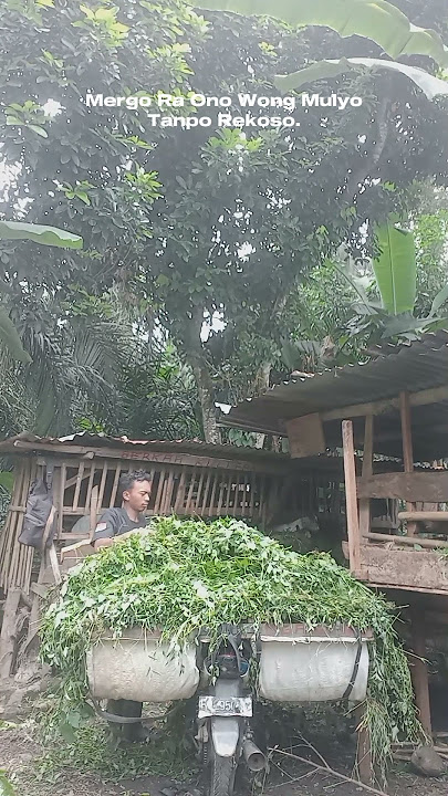 Story Wa Sobat Ngaret Kudu Obah modal Bismillah tok gusti Allah yo wegah