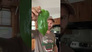 2023 summer csa Week 11