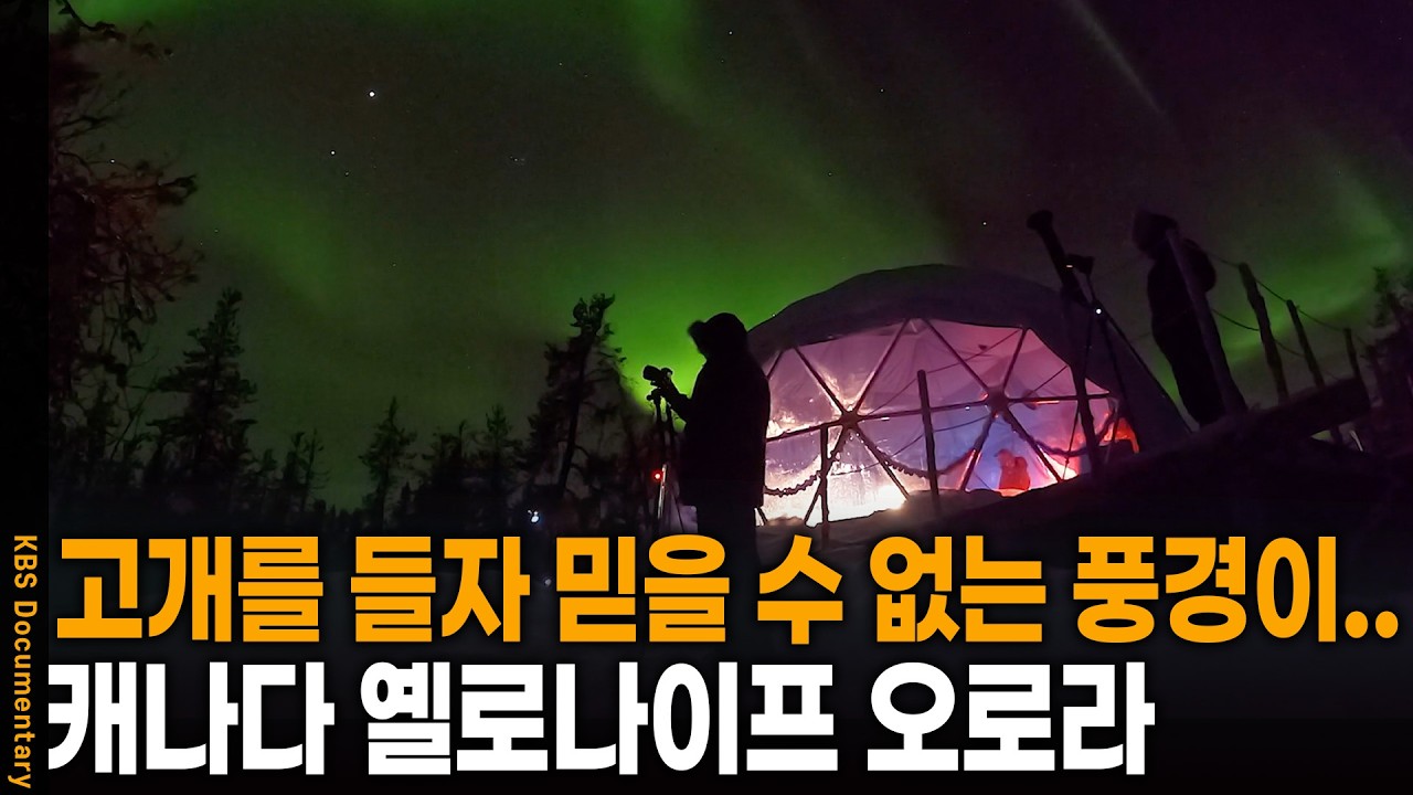 고개를 들자 믿을 수 없는 풍경이.. 신비롭고 황홀한 겨울왕국 옐로나이프로 떠나다 | KBS 걸어서 세계 속으로 20250621 방송