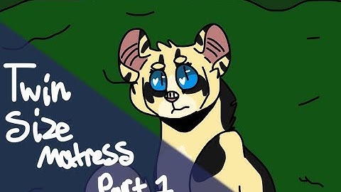 Twin Size Mattress // Longtail 24 Hour PMV MAP // Part 1